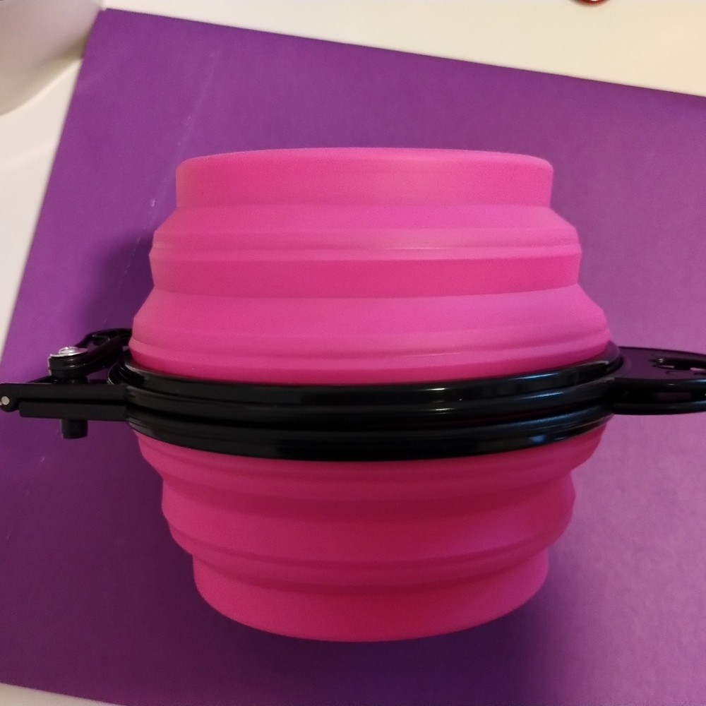 Collapsible double pet bowl